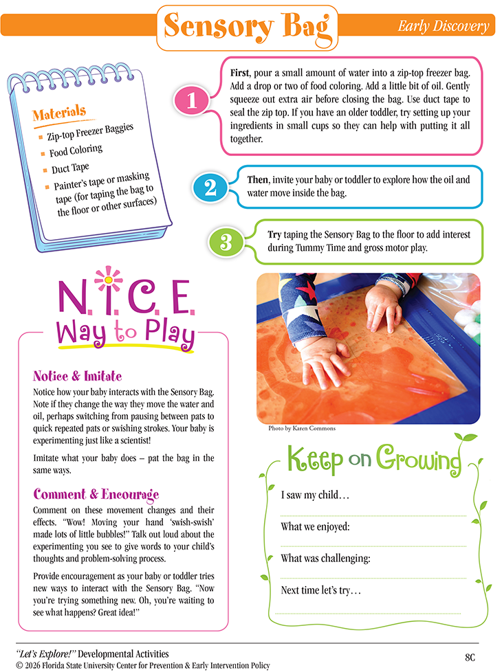 Developmental Activities, sheet 4, “Sensory Bag"