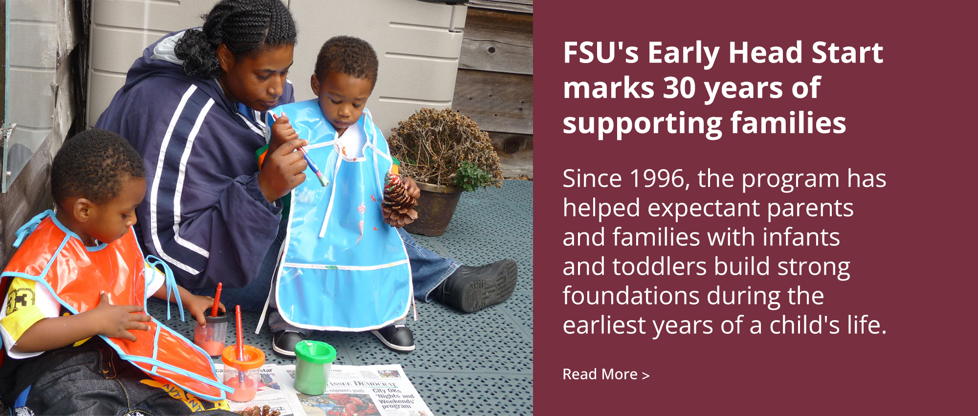 EHS 30th Banner Link