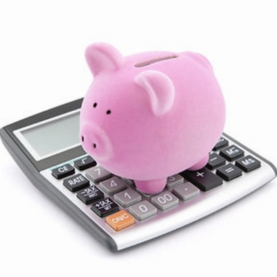 Piggy Bank Savings