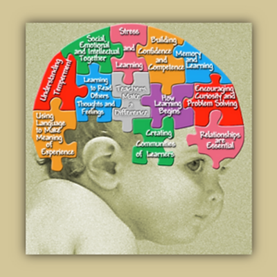 Baby Brain Puzzle